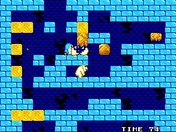 Penguin Land screenshot 5 for Sega Master System